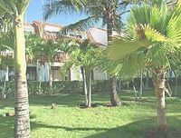 Garden of the Hotel PARAISO DE COLON - Cabarete - Dominican Republic